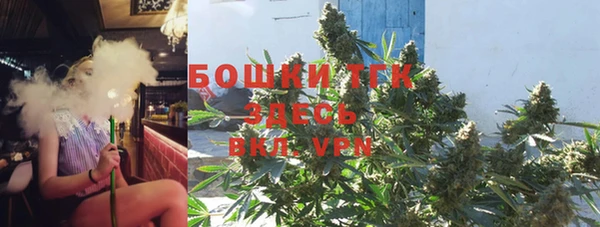 PSILOCYBIN Алзамай
