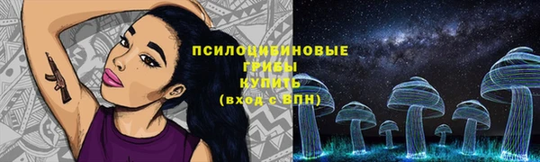 PSILOCYBIN Алзамай