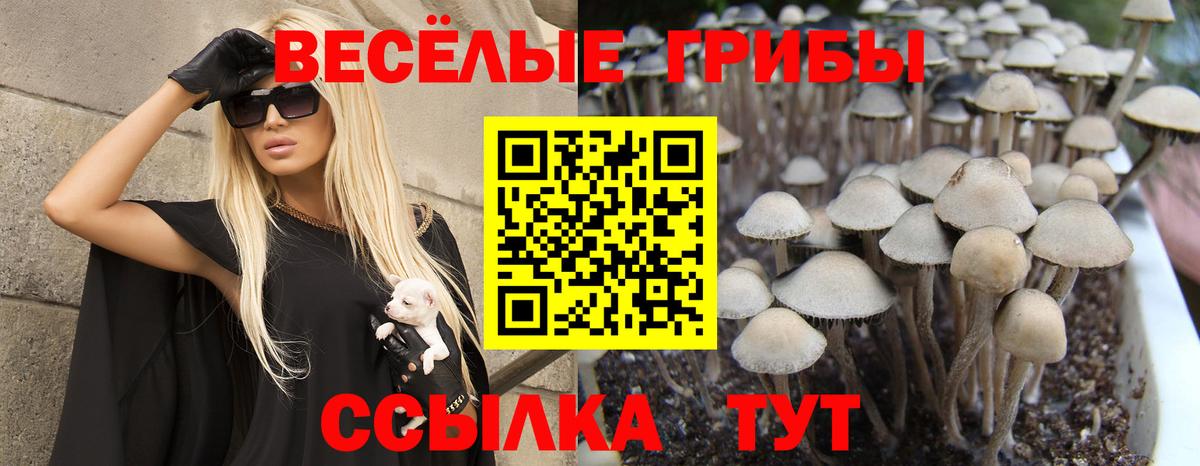 Уварово  Псилоцибиновые грибы GOLDEN TEACHER  дарнет шоп  Вход с VPN 
